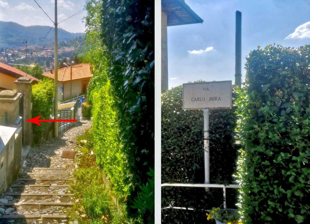 Como Lake Panorama Apartment Sveva Cernobbio Exteriér fotografie