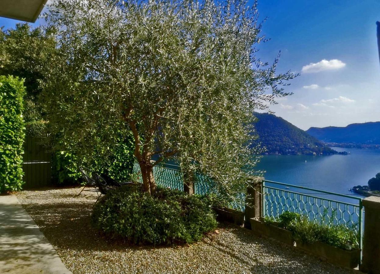 Como Lake Panorama Apartment Sveva Cernobbio Exteriér fotografie