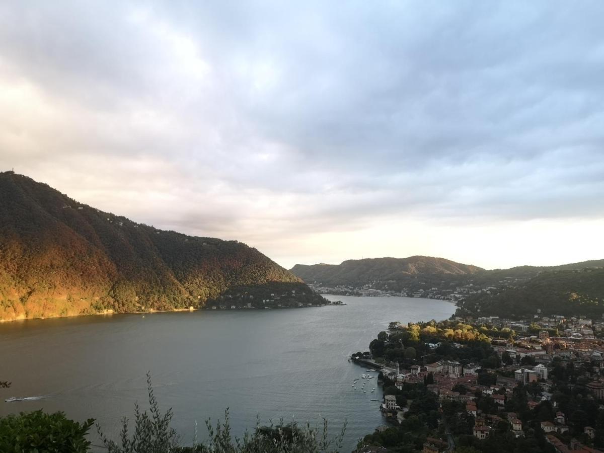 Como Lake Panorama Apartment Sveva Cernobbio Exteriér fotografie